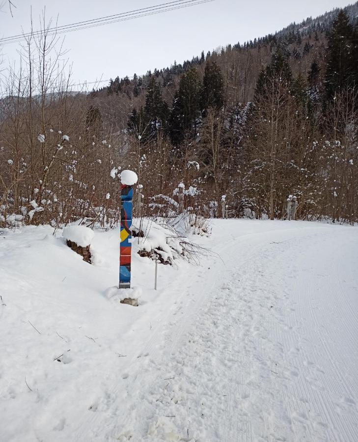 Casa Steilalva - Grosszuegiges Chalet Fuer Erholsamen Familienurlaub Surrein Exteriér fotografie